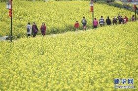 早春花香醉游人（组图）