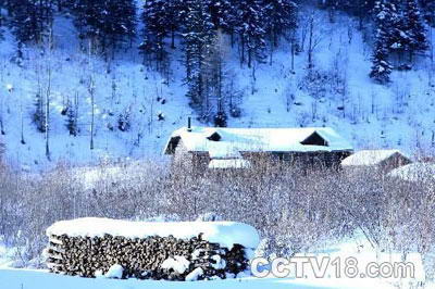 雪乡国家森林公园风景图