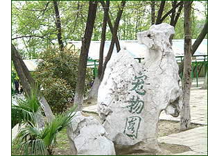 花冲公园风景图