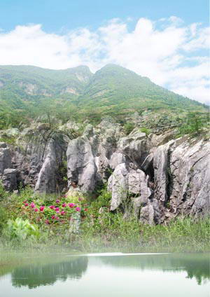 丫山花海石林风景图