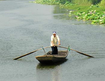 陶辛水韵风景图