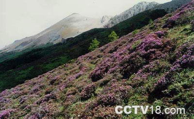 珩琅山风景图