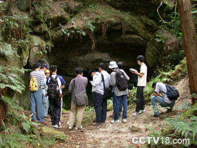 褐山风景图