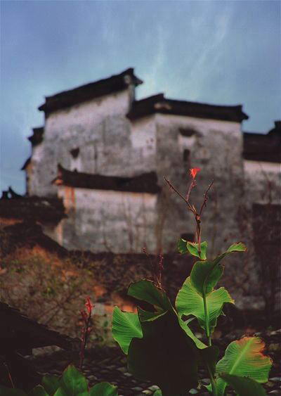 南屏风景图