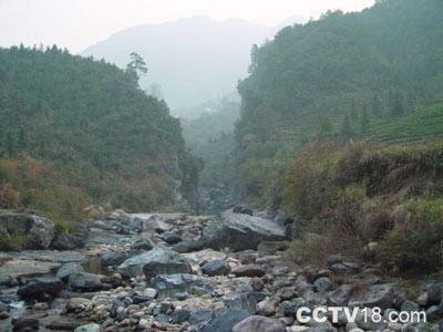 牯牛降自然保护区风景图