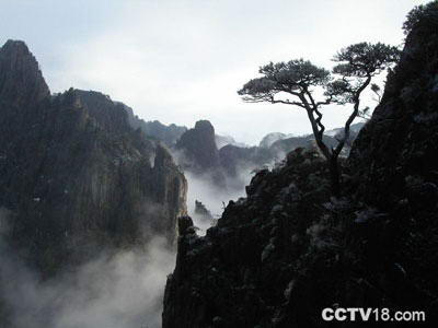 梦幻景区风景图