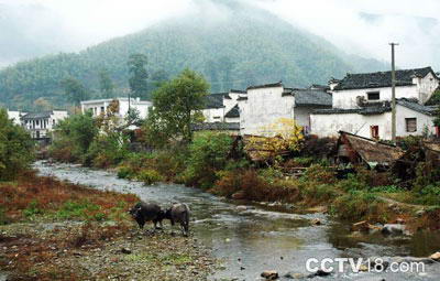 卢村风景图