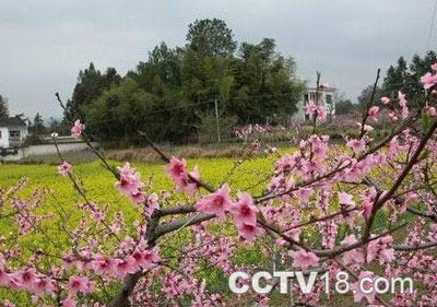 浔阳台风景图