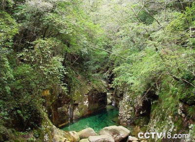 牯牛降自然保护区风景图