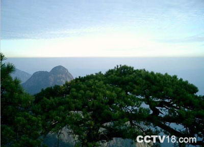 大历山风景区风景图