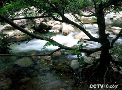 障山大峡谷风景图