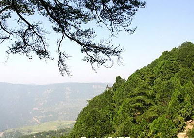 天龙山景区风景图