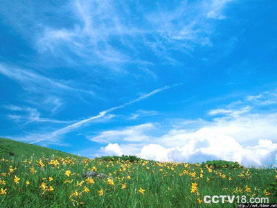 鄂尔多斯草原旅游区风景图