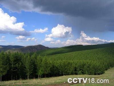 锡林郭勒大草原风景图