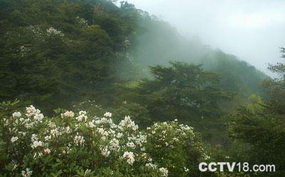 仙洞山公园风景图