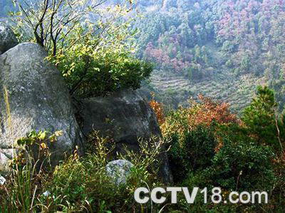 梅岭风景名胜区风景图