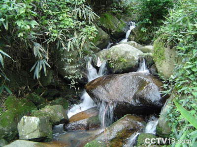 梅岭风景名胜区风景图