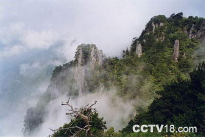 明月山国家森林公园风景图