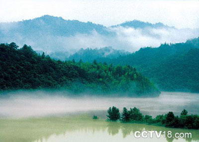 三爪仑森林公园风景图