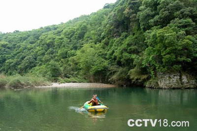 三爪仑森林公园风景图