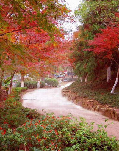 东华理工学院风景图