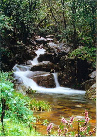 龙潭沟风景区风景图