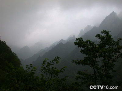 老界岭风景区风景图