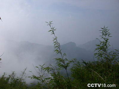 老界岭风景区风景图