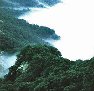 桐柏山淮源风景名胜区风景图