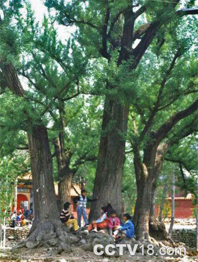 南召石人山南麓旅游区·丹霞寺景区风景图