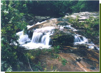 红河谷森林公园风景图