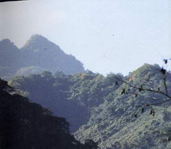 鸡峰山(陈仓山)风景图