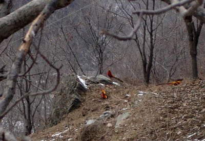 首阳山风景图