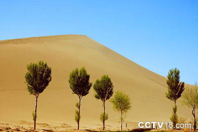 哈密鸣沙山风景图