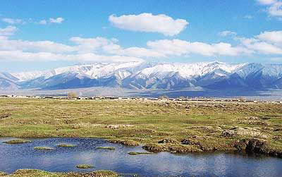 巴里坤湖风景图