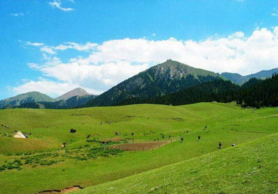 阿拉山口口岸风景图