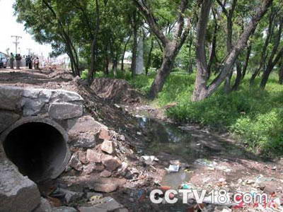 蜀山烈士陵园风景图