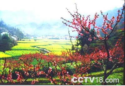歙县上丰花果山村落生态旅游区风景图