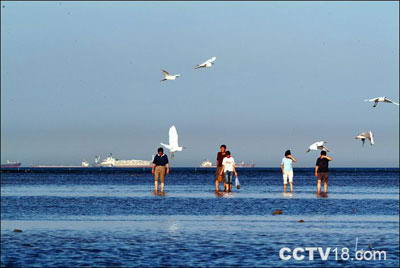 北戴河风景图
