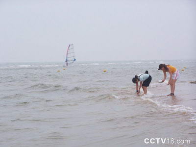 翡翠岛风景图