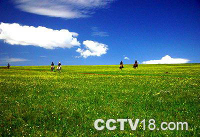 空中草原风景图