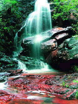 天生桥地质公园风景图