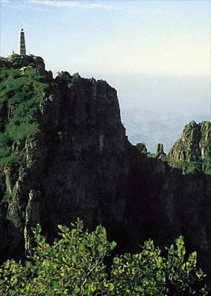 千佛山森林公园风景图