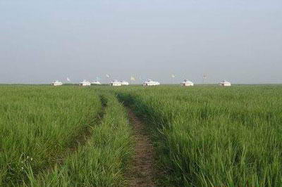 张北坝上草原风景图