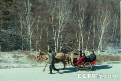 翠云山滑雪场风景图