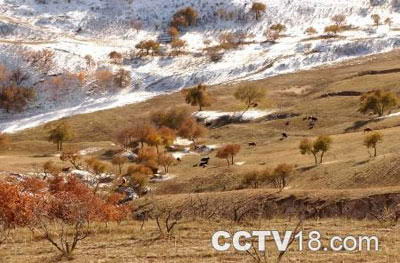 察汗淖尔草原度假村