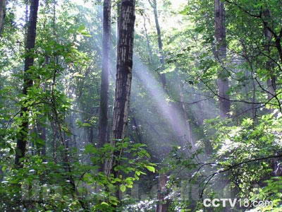 平泉辽河源风景区风景图