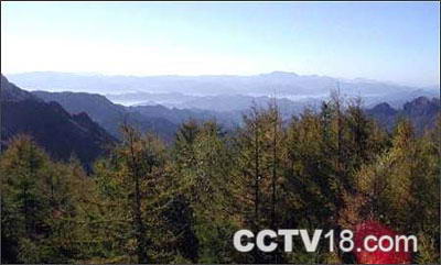 雾灵山风景区风景图