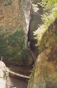 白云古洞风景图