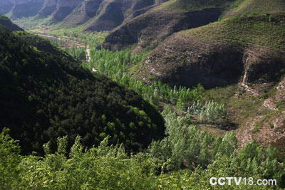 藏山风景区风景图